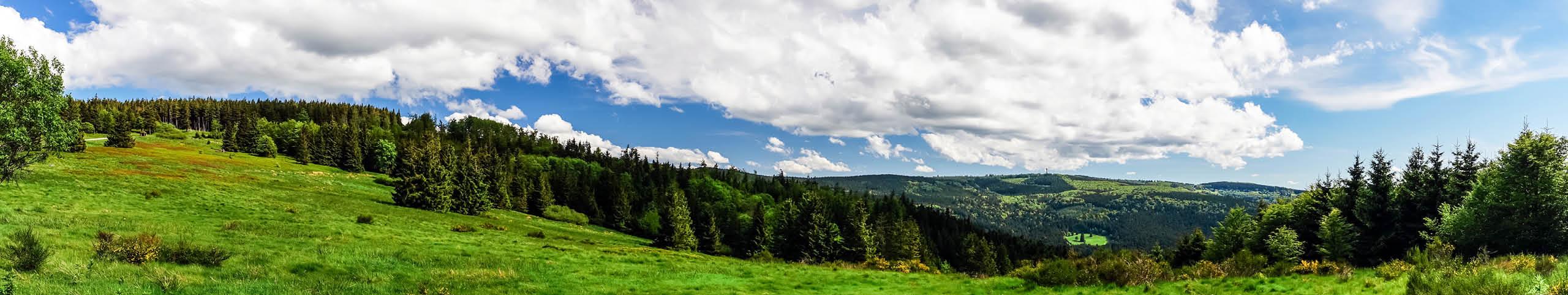 Banner Vakantiehuis 28 personen